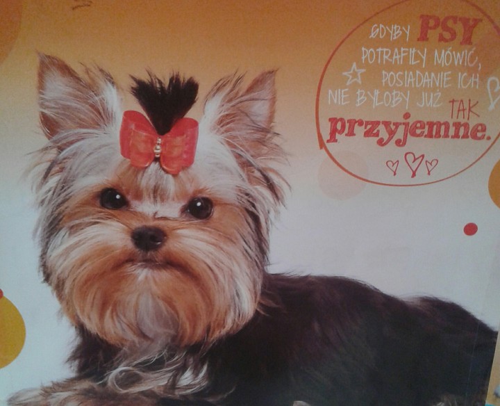 Uu jaka fryzurka