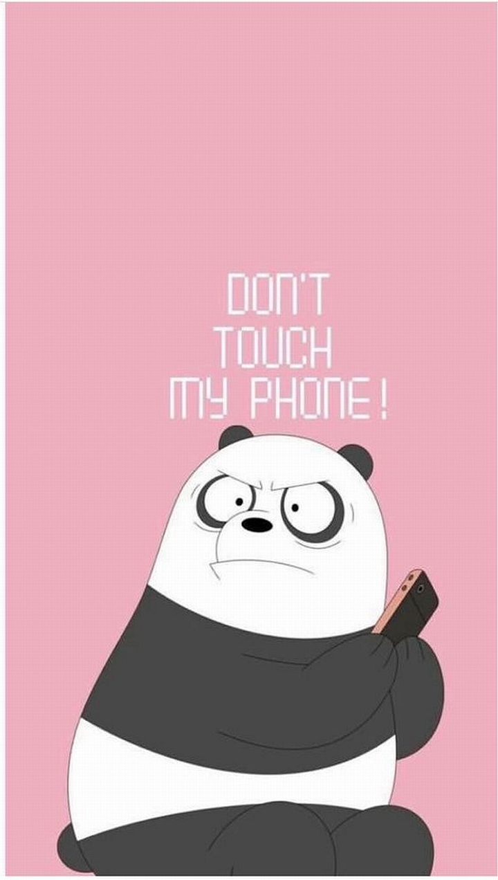 Angry panda
