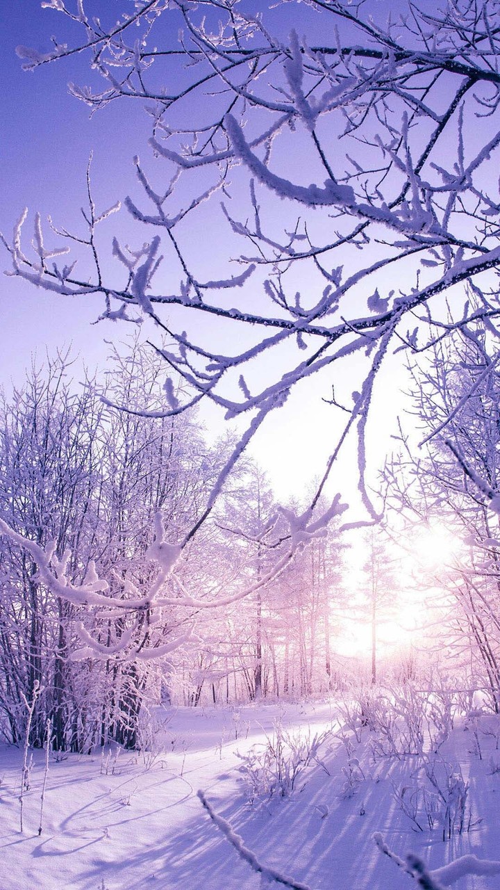 A winter
