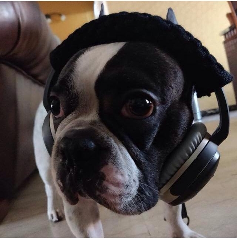 I hear you hooman??