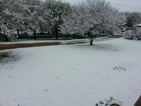 snow covered north Carolina