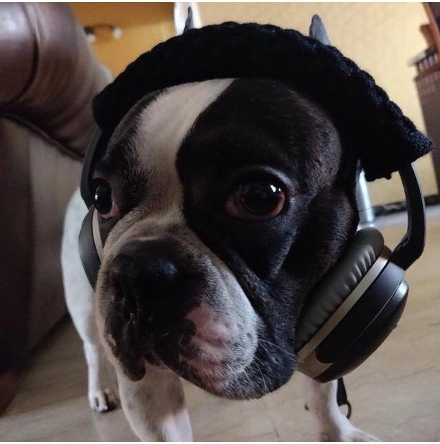 I hear you hooman??