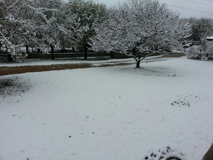 snow covered north Carolina
