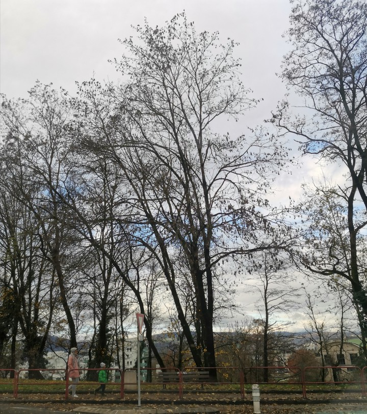 ballade