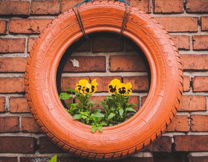 Beautiful Planter