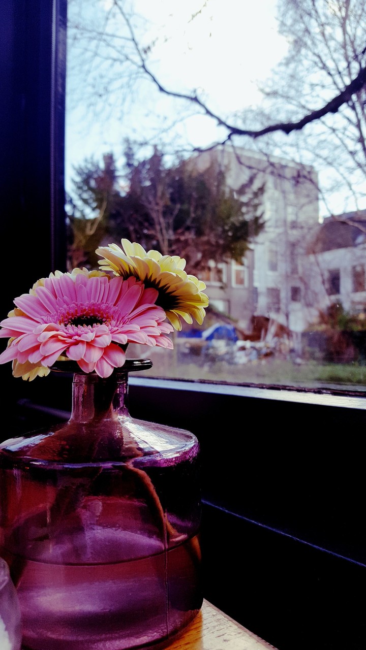 Fiori