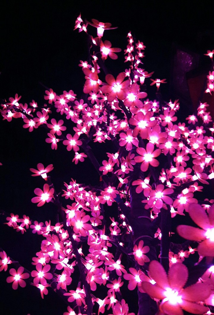 Tree light