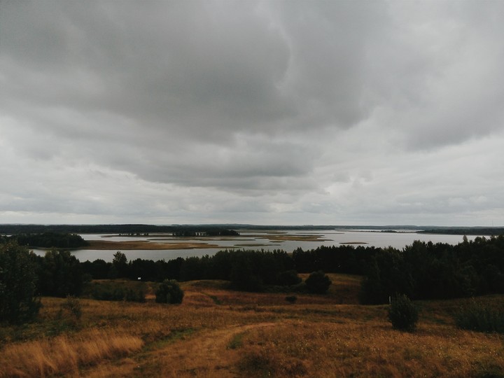 nature.
