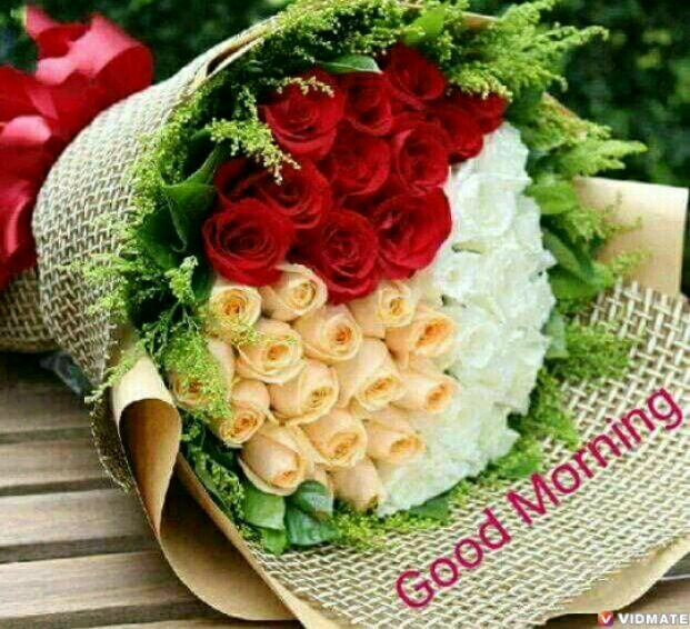 good moning