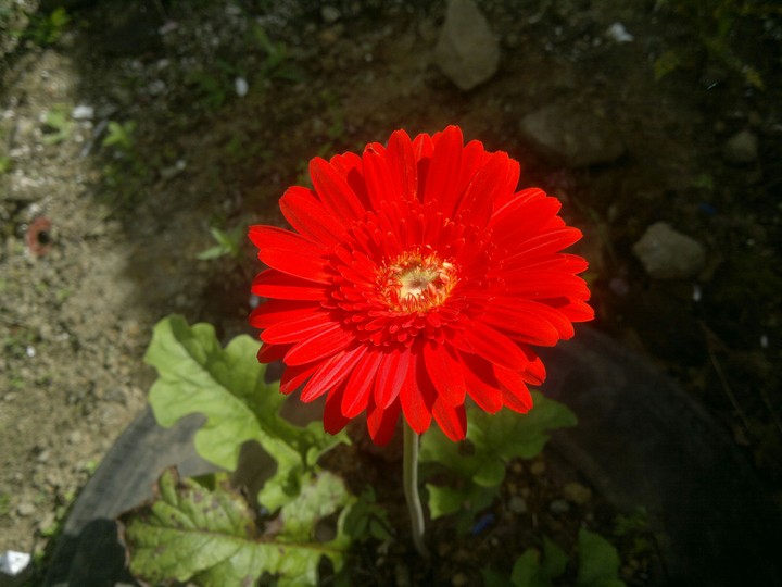 Beautiful