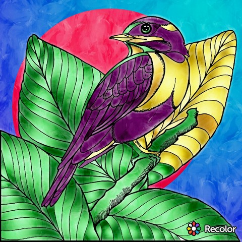 bird of spring art color