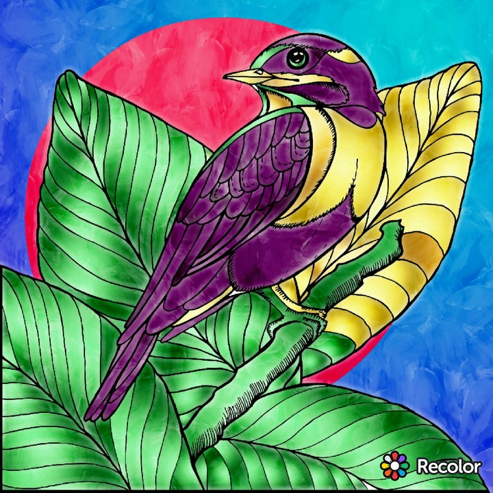 bird  of spring art color