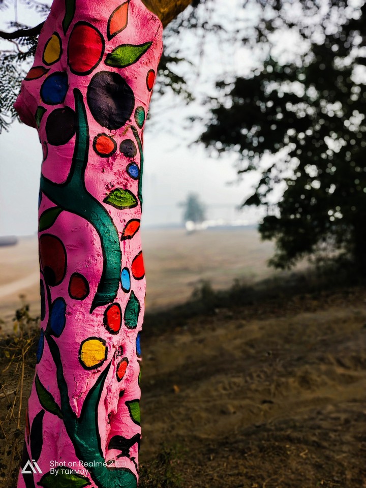 paint on tree