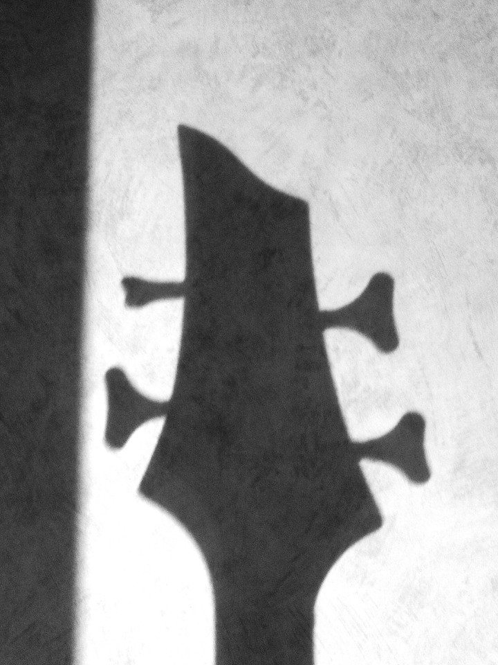 Bass