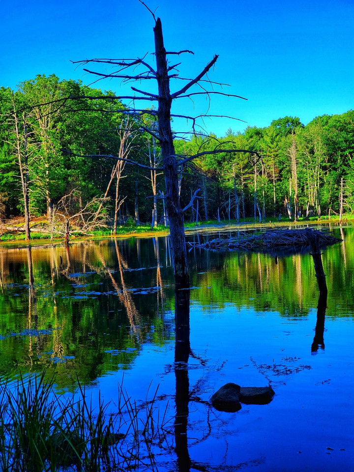 Tranquility