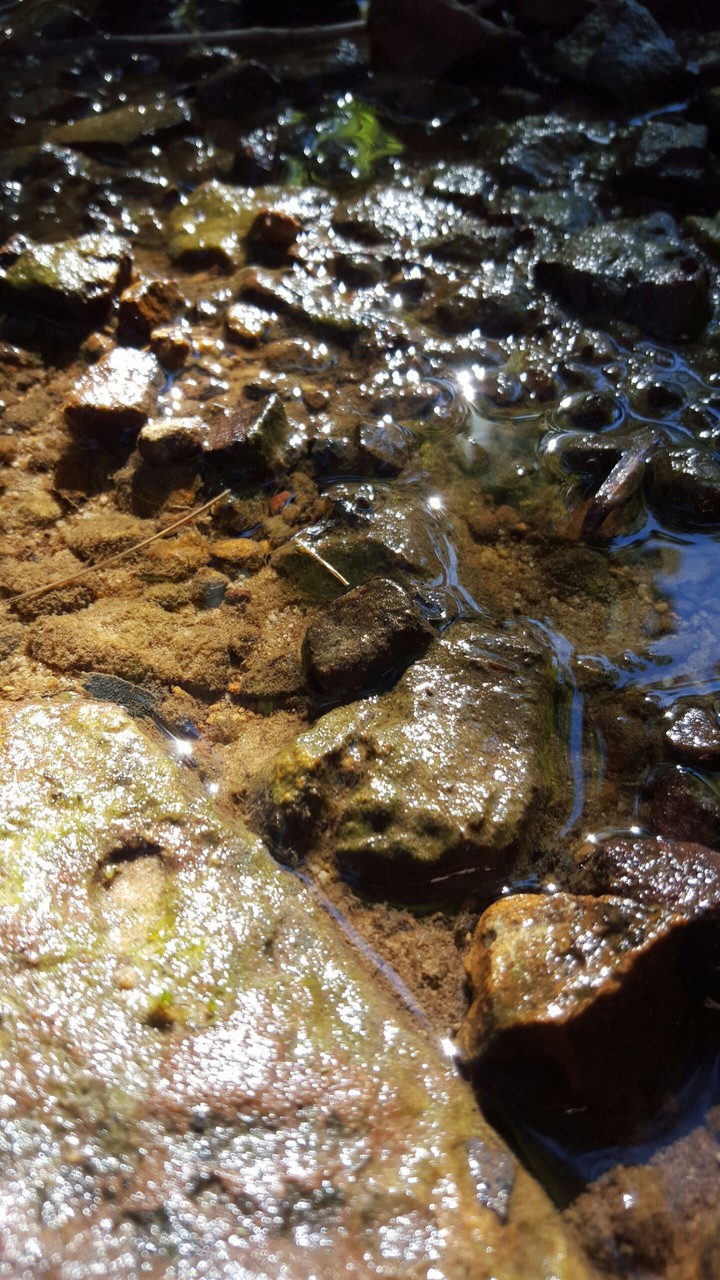 Tiny Stream