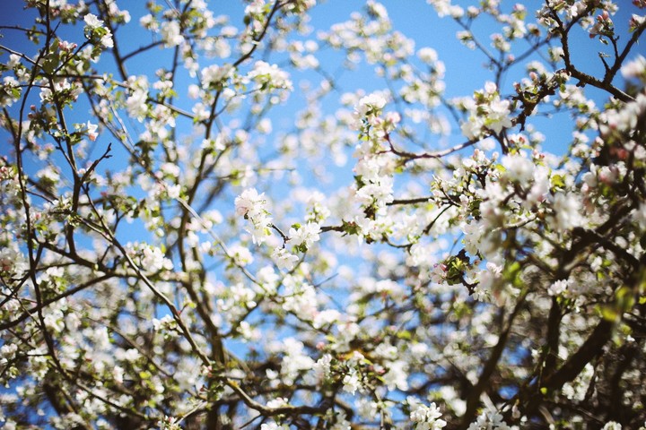 spring time