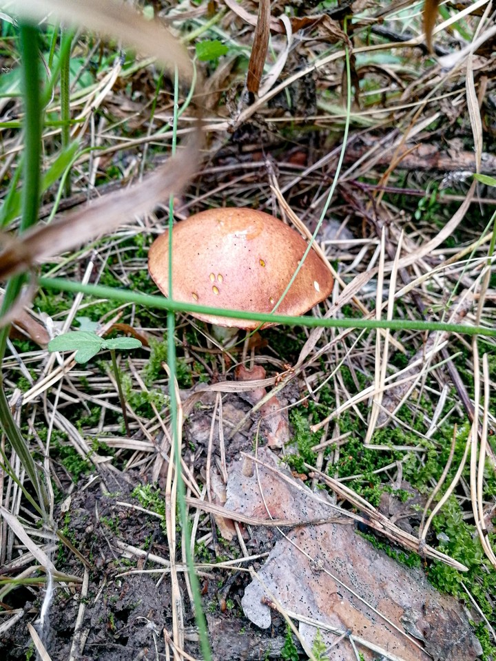 ?