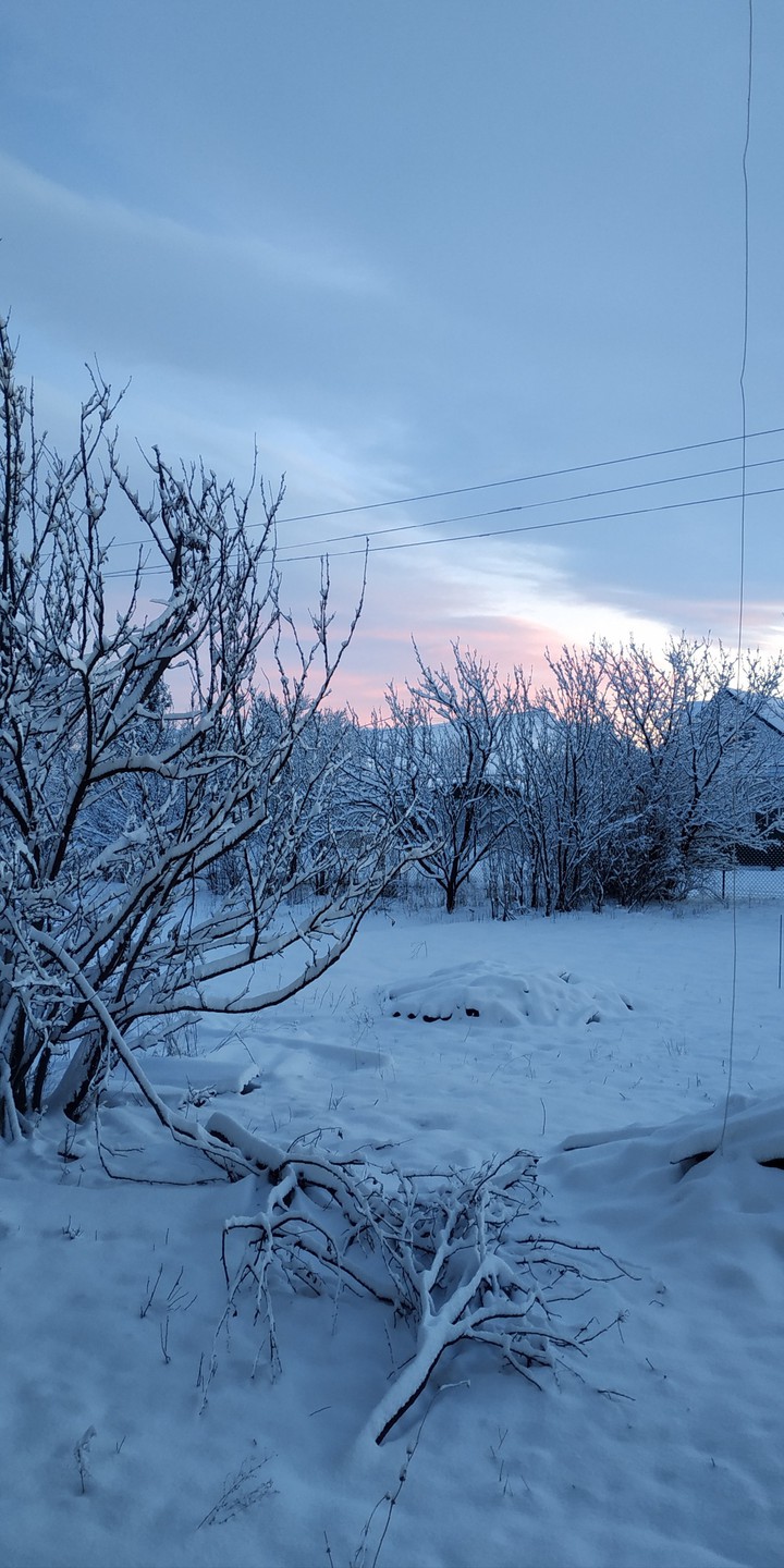 Snow sunrise