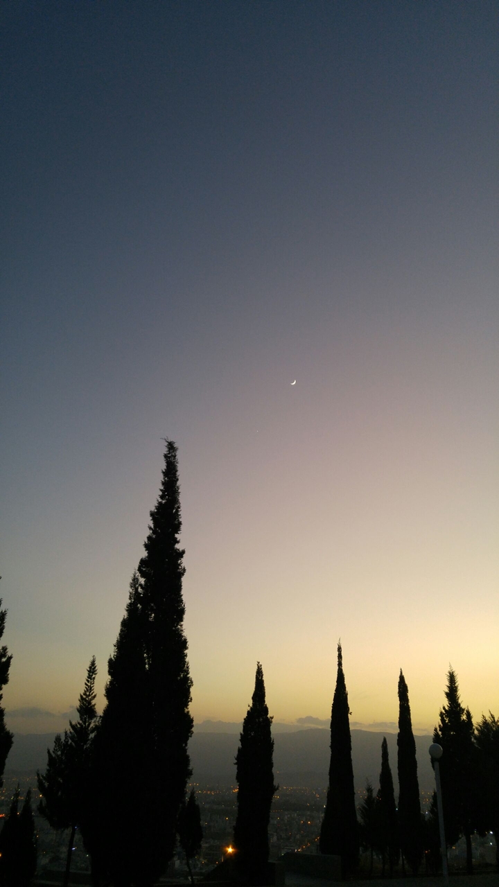 moon & me