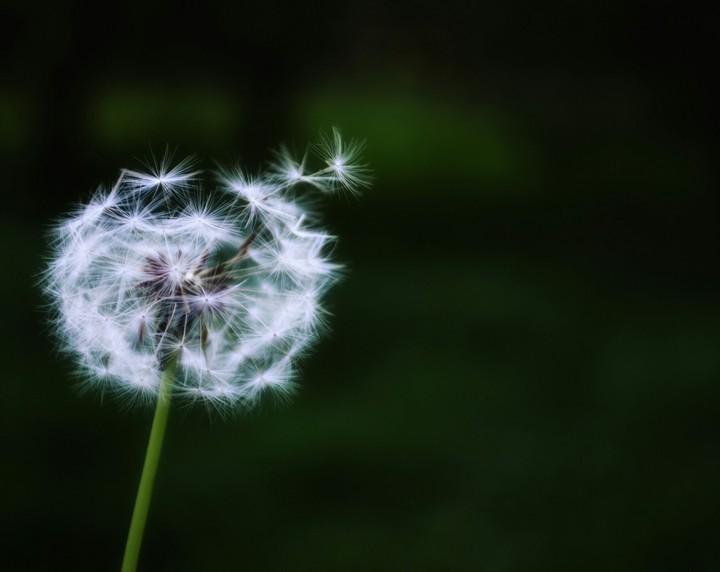 Wind...