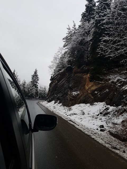 Snowy Road