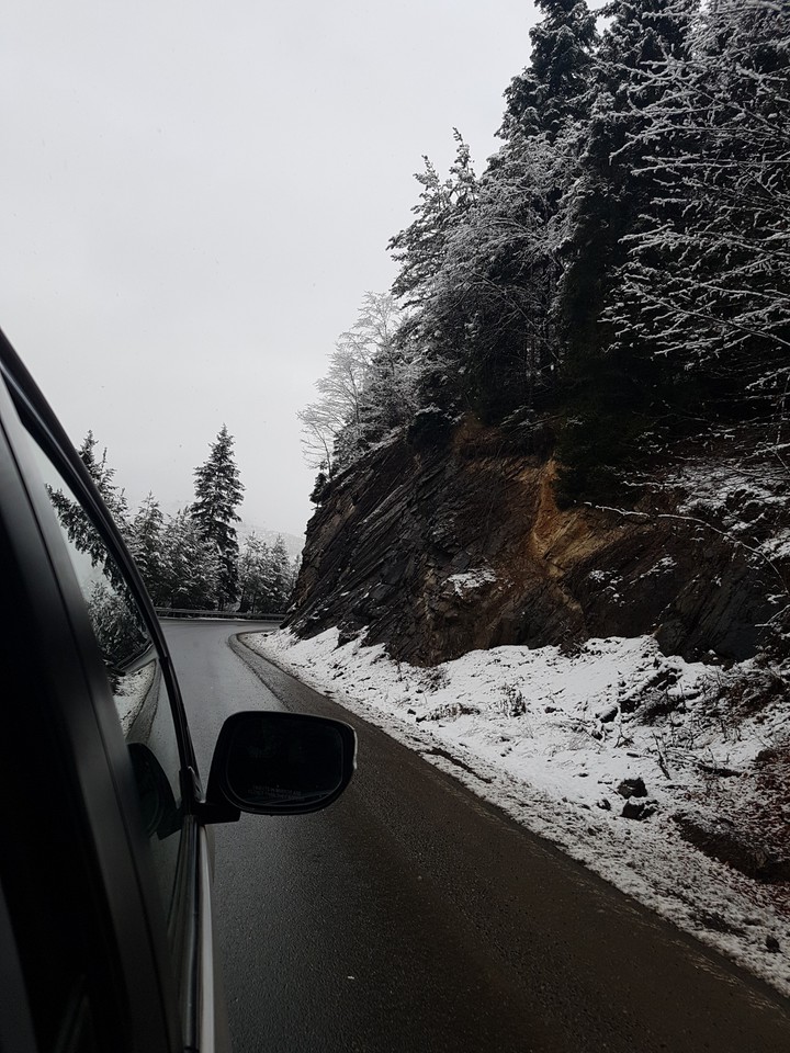 Snowy Road