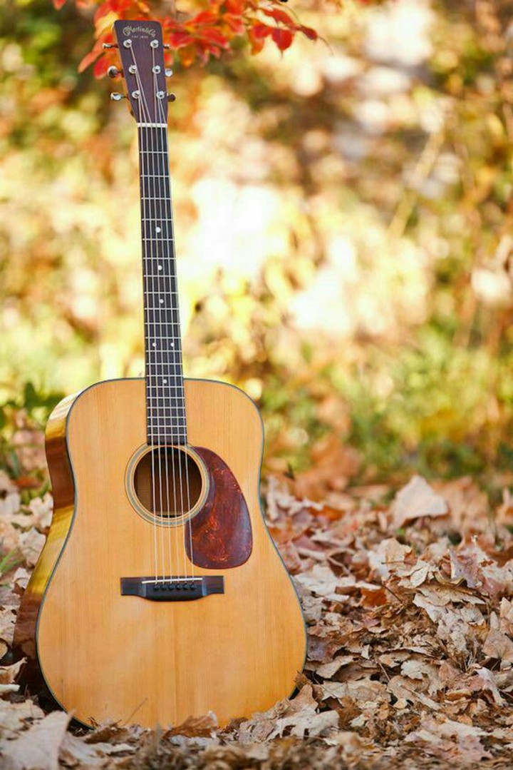 guitar