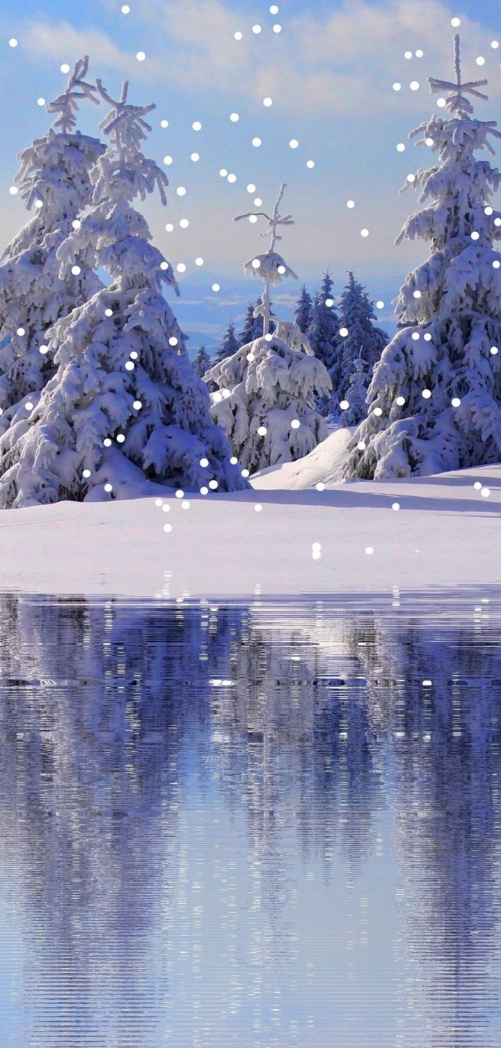 Nature ❄️❄️❄️