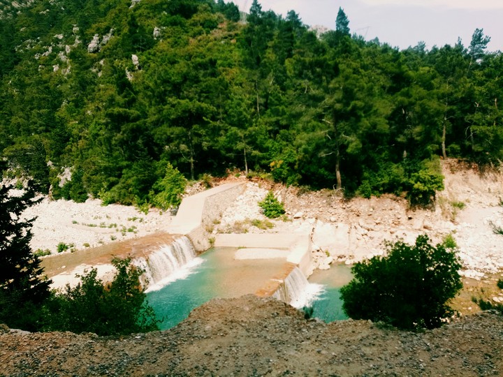 nature