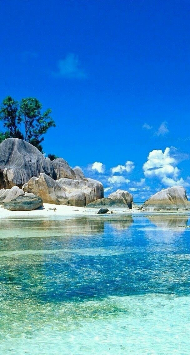 my dream vacation