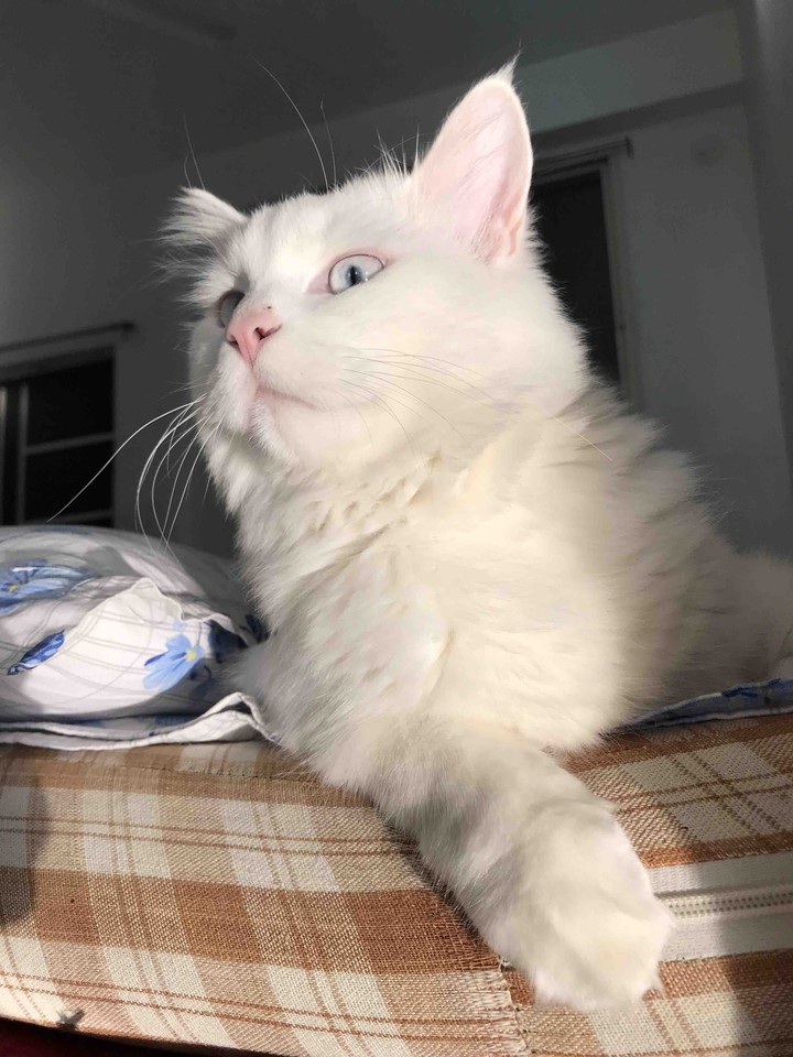 Gazing at the sun!