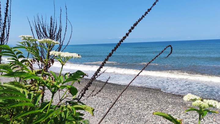 Sea