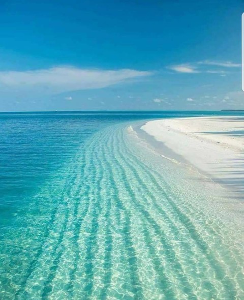 Palomino Island