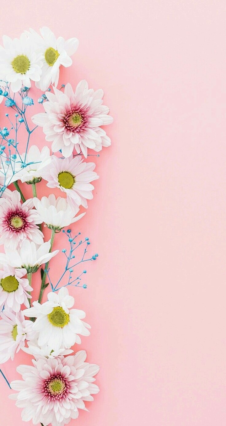 wallpaper