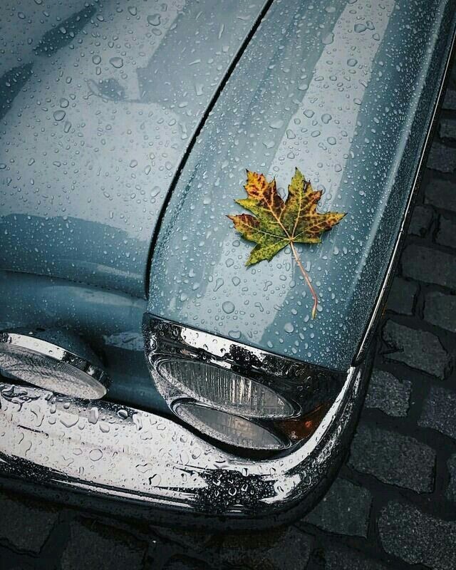 rain