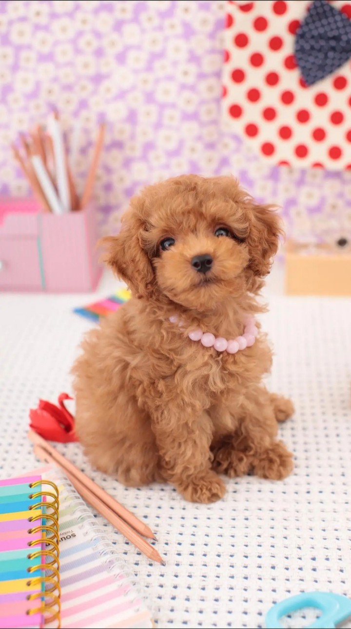 cuty