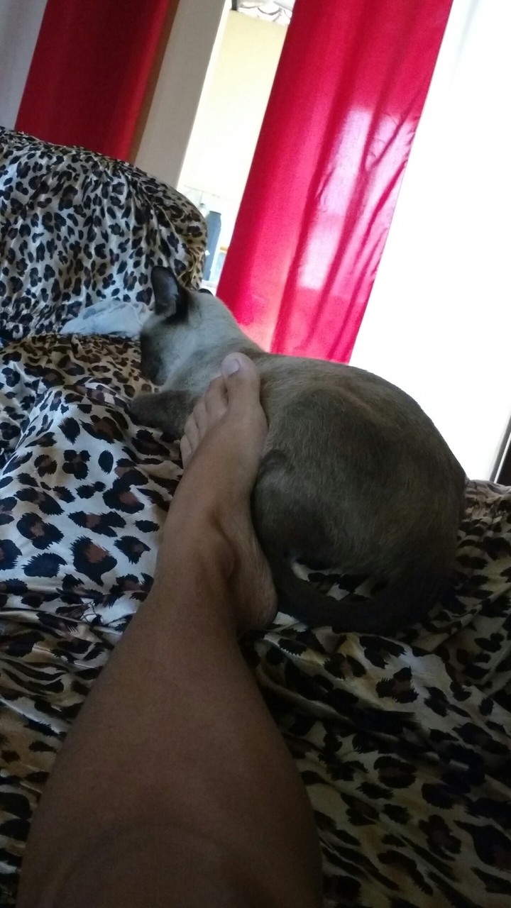 cat love <3