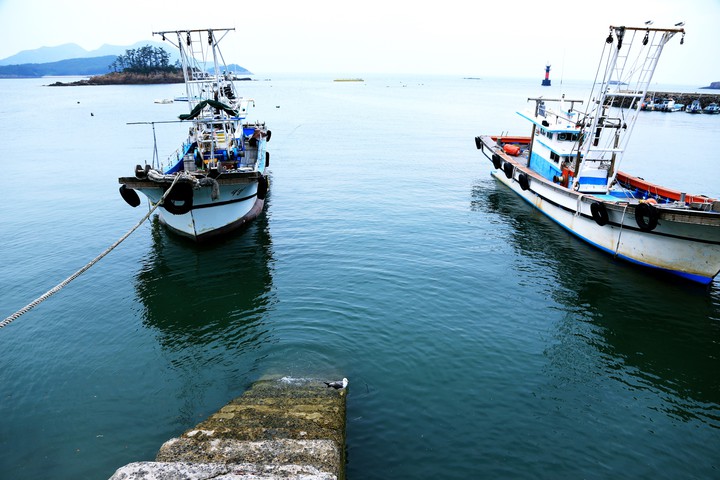 Fishing Boats at Anchor in the port