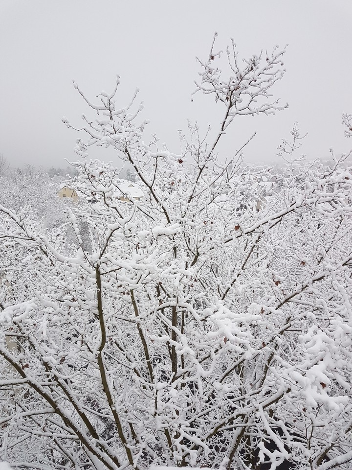 Snow