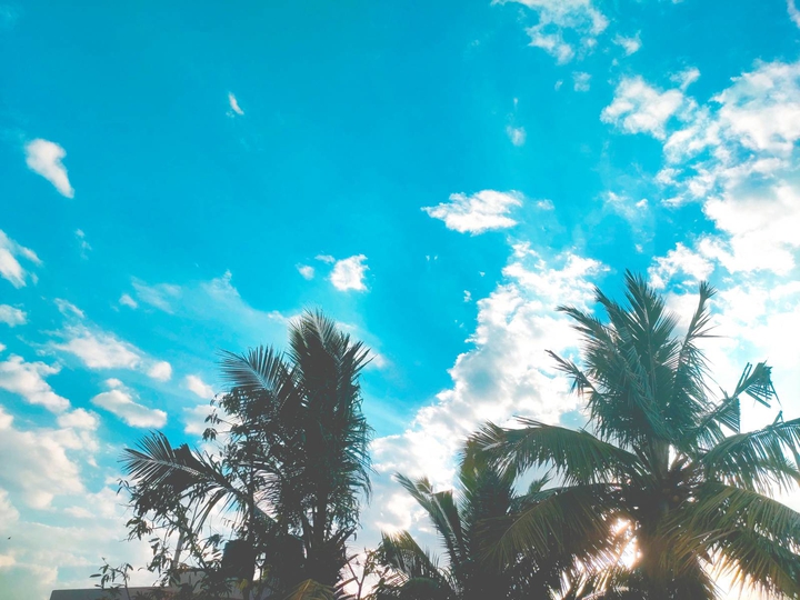 beautiful morning