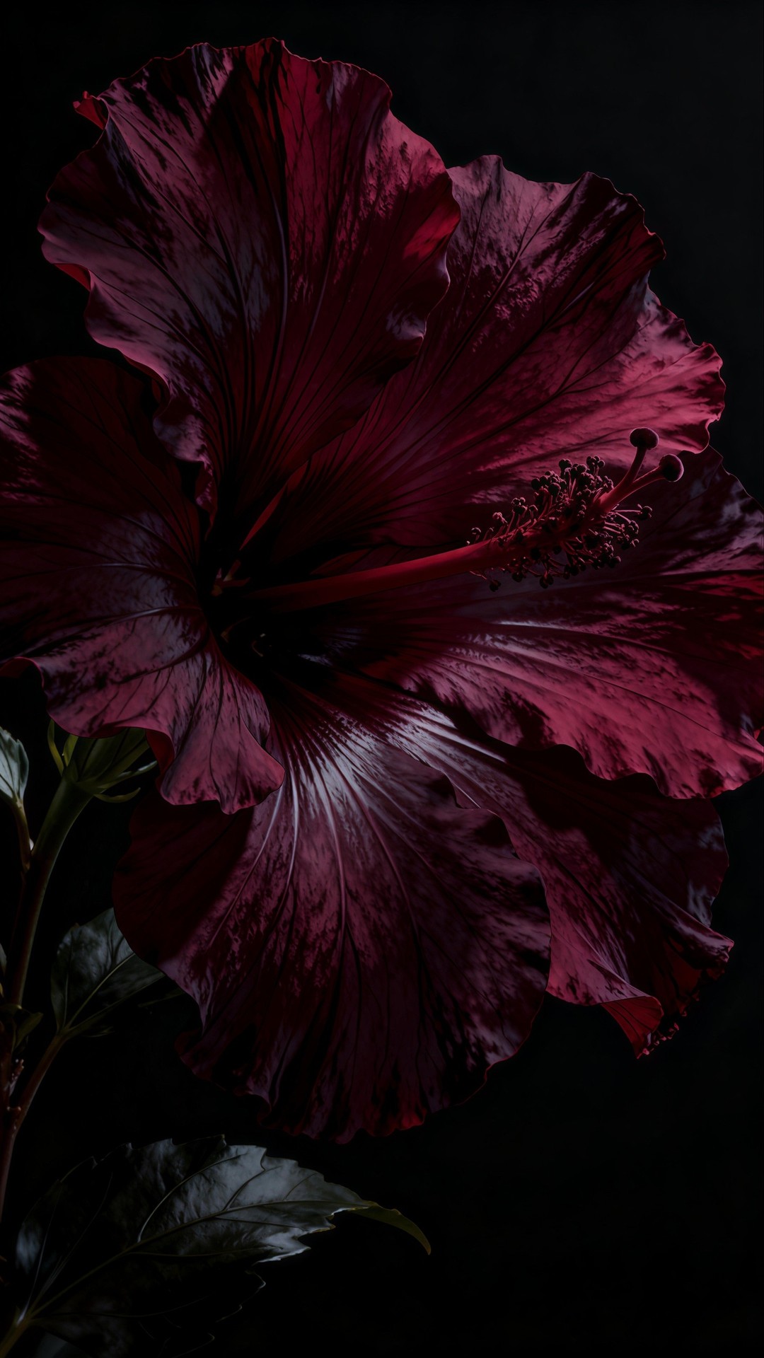 Beauty Blooms in The Darkness