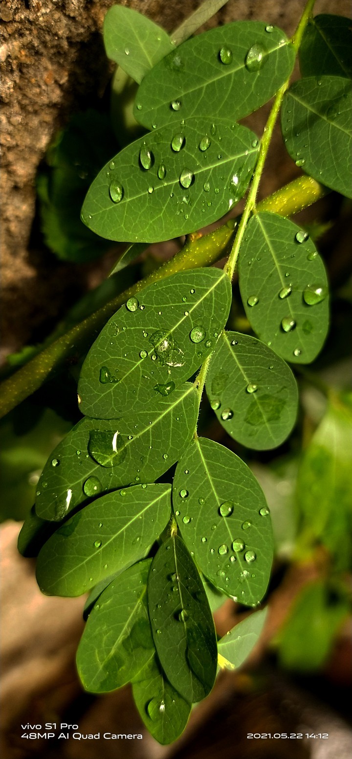 my photography