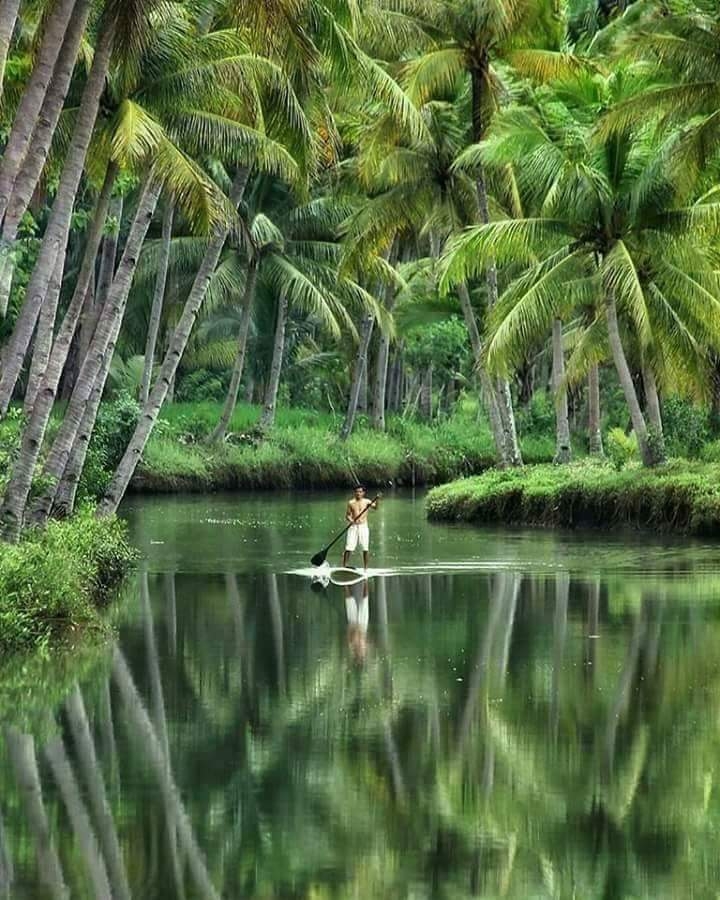 kerala buty