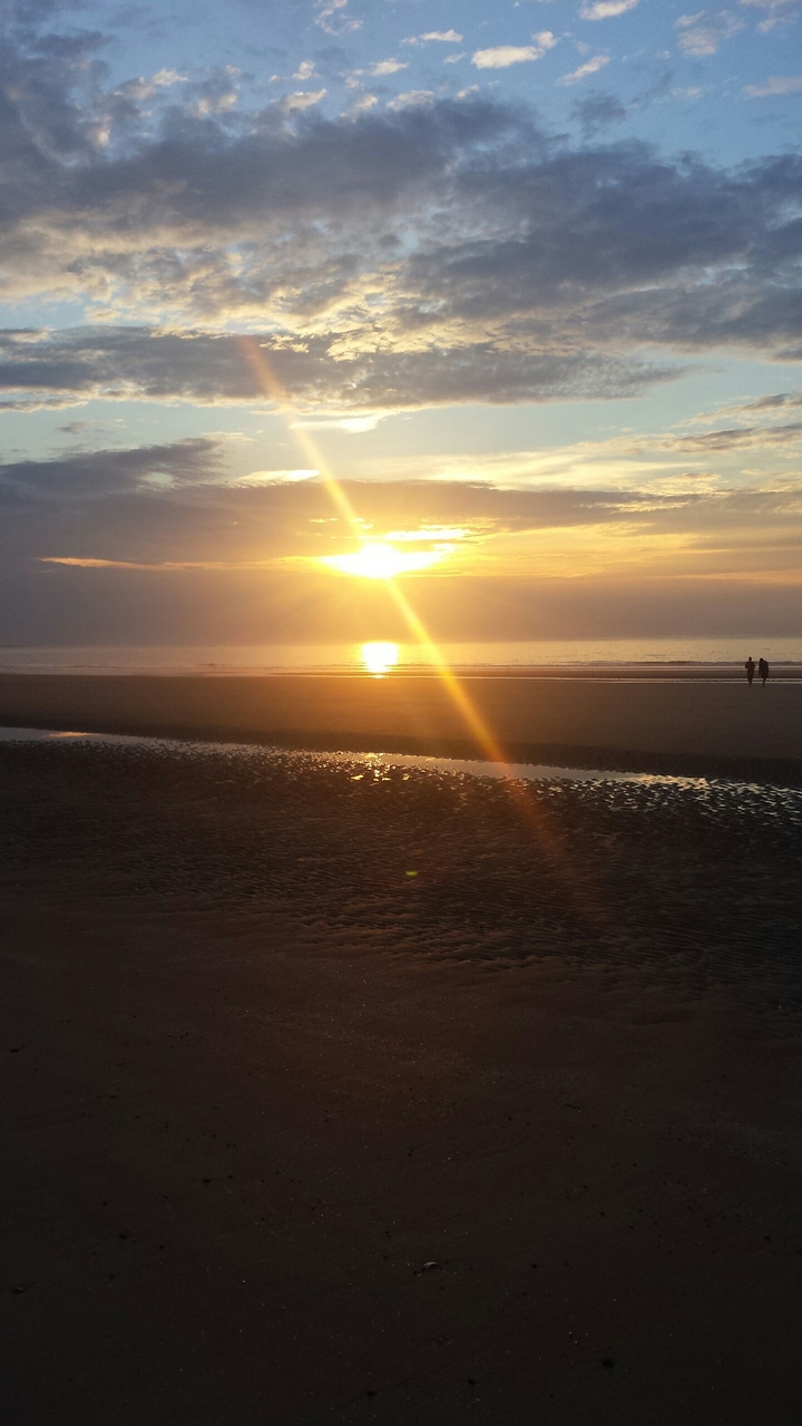 sweet summer sun