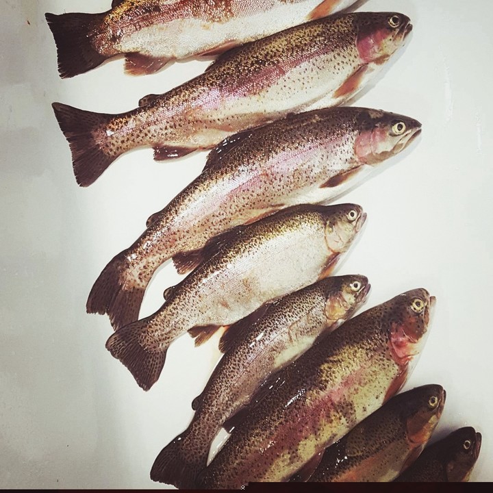 Fishing