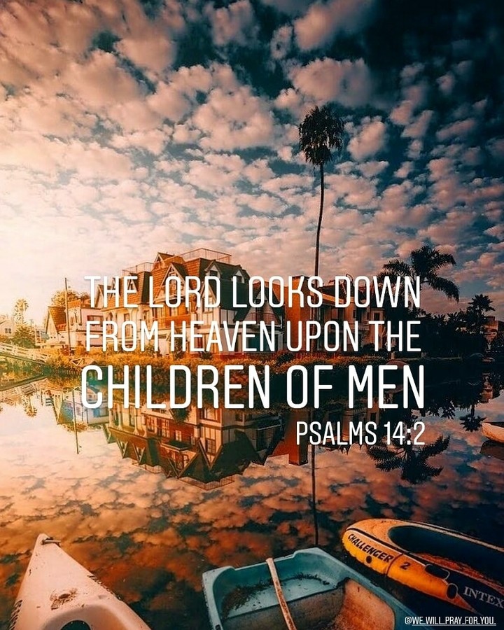 Bible