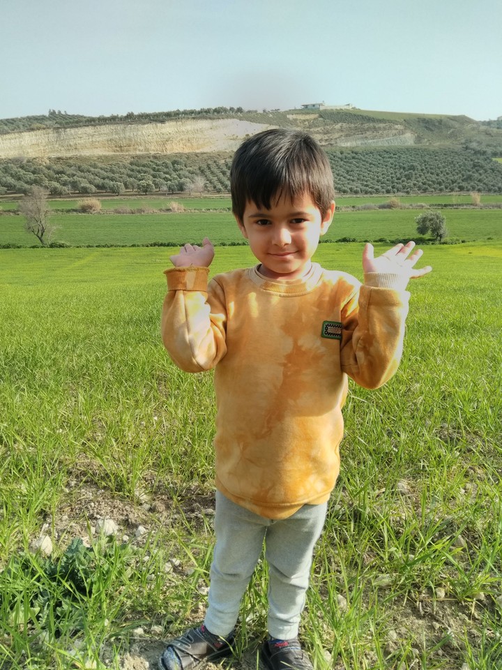 bahar