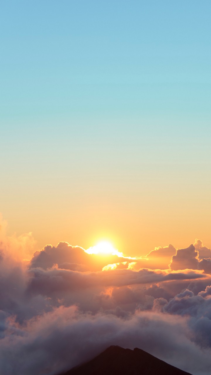 sun in the sky