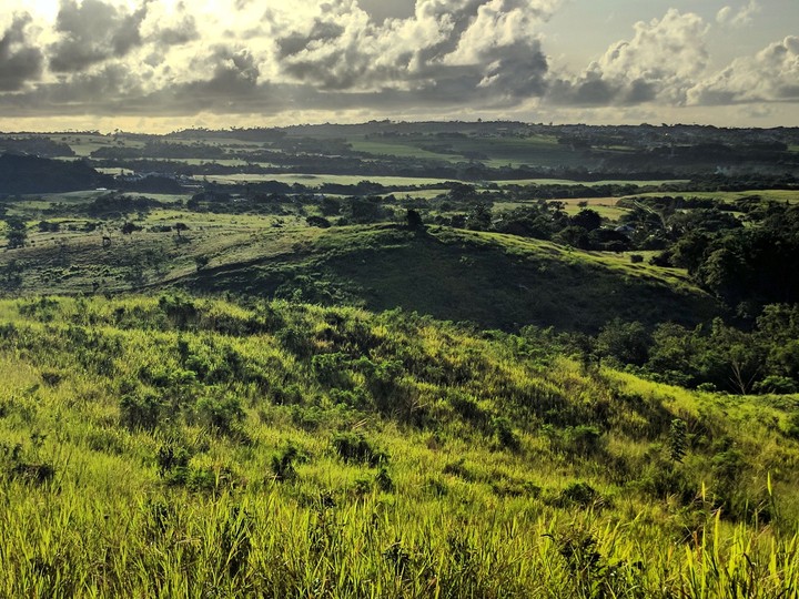Rolling hills